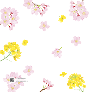 桜と菜の花（3月）のフォトブック裏表紙